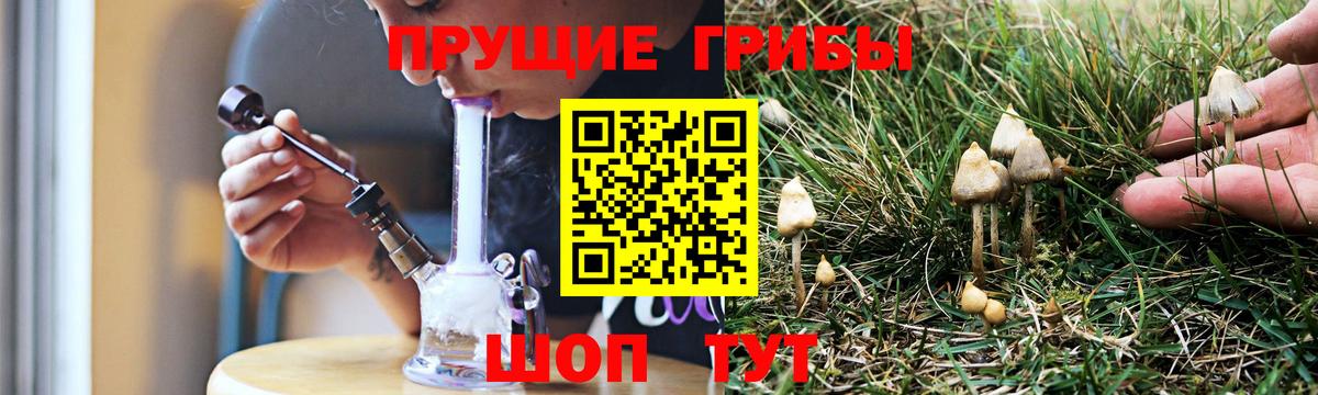 Псилоцибиновые грибы Psilocybe  Вход с VPN  купить наркоту  Шадринск 